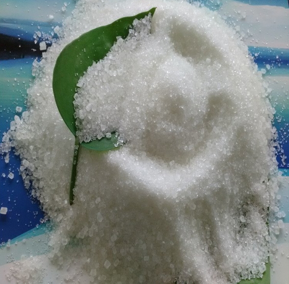 Ammonium sulphate crystal